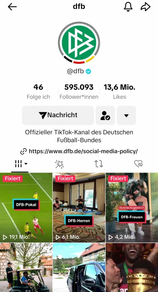 TikTok x DFB